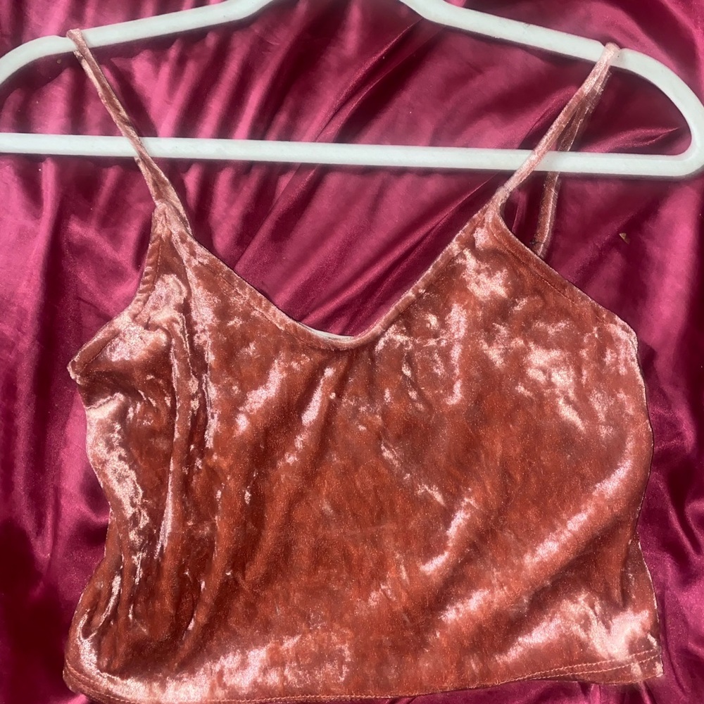 Velvet Crop Top